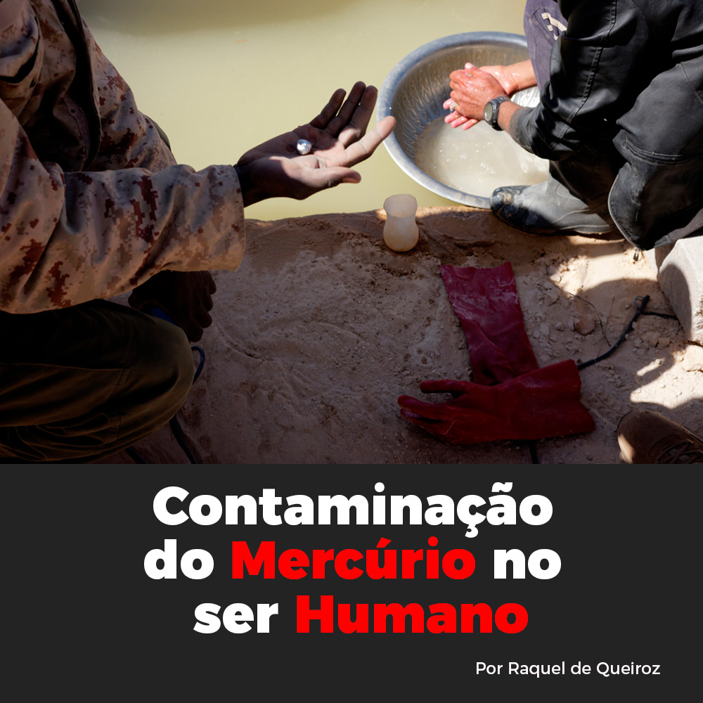 Contaminação do Mercúrio no ser humano